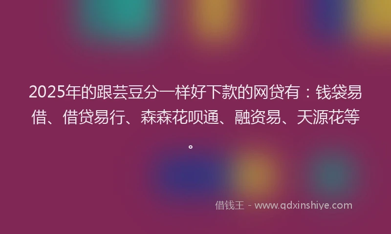 2025年的跟芸豆分一样好下款的网贷有：钱袋易借、借贷易行、森森花呗通、融资易、天源花等。