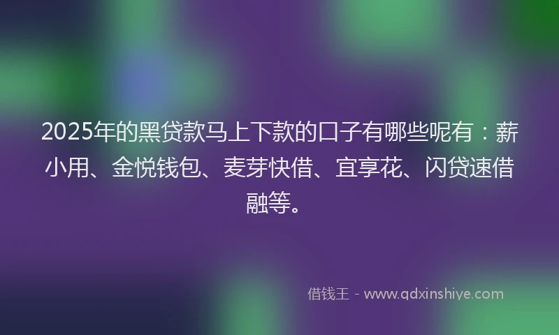 2025年的黑贷款马上下款的口子有哪些呢有：薪小用、金悦钱包、麦芽快借、宜享花、闪贷速借融等。