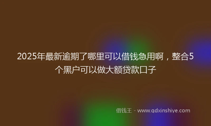 2025年最新逾期了哪里可以借钱急用啊，整合5个黑户可以做大额贷款口子
