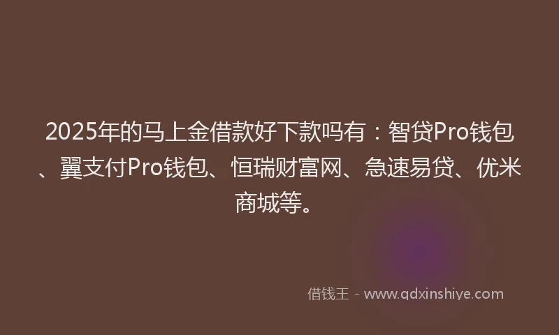 2025年的马上金借款好下款吗有：智贷Pro钱包、翼支付Pro钱包、恒瑞财富网、急速易贷、优米商城等。
