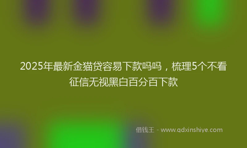 2025年最新金猫贷容易下款吗吗，梳理5个不看征信无视黑白百分百下款