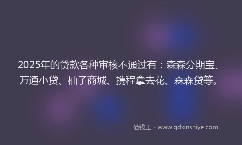 2025年的贷款各种审核不通过有：森森分期宝、万通小贷、柚子商城、携程拿去花、森森贷等。