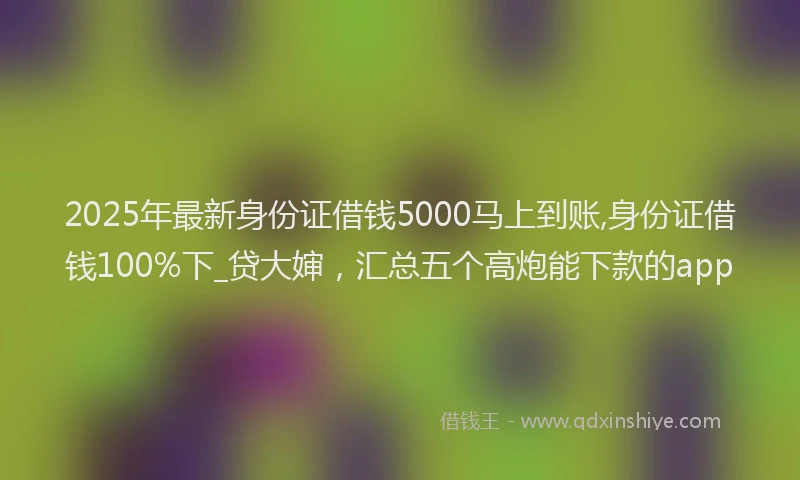 2025年最新身份证借钱5000马上到账,身份证借钱100%下_贷大婶，汇总五个高炮能下款的app