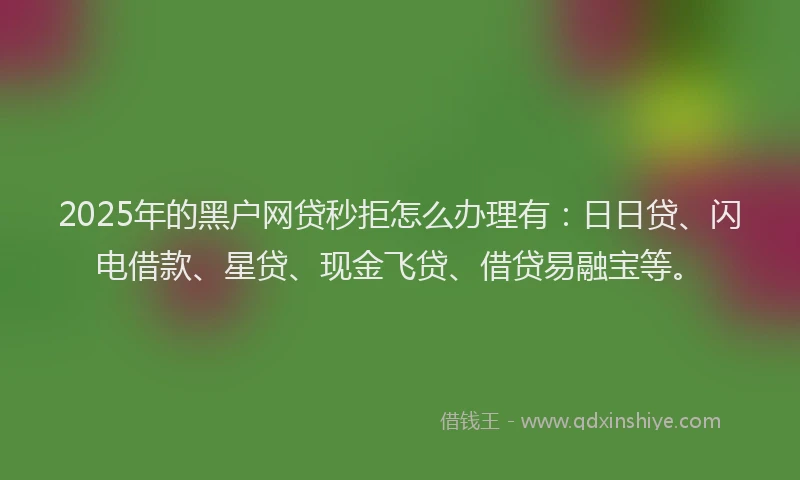 2025年的黑户网贷秒拒怎么办理有：日日贷、闪电借款、星贷、现金飞贷、借贷易融宝等。