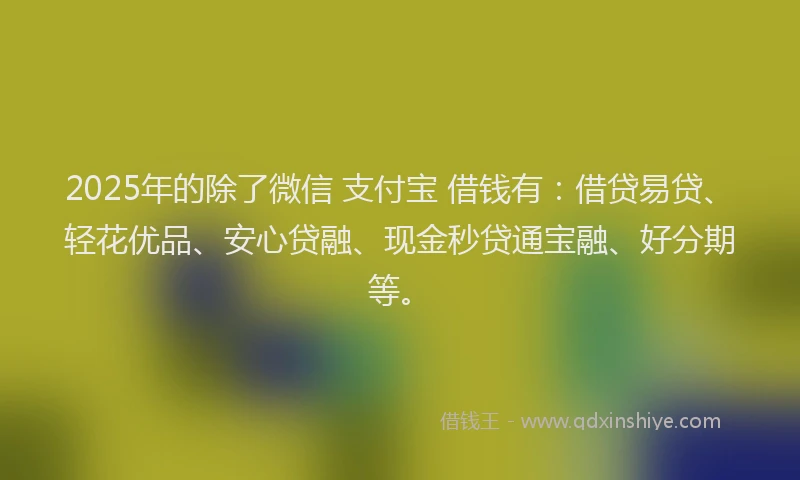 2025年的除了微信 支付宝 借钱有：借贷易贷、轻花优品、安心贷融、现金秒贷通宝融、好分期等。