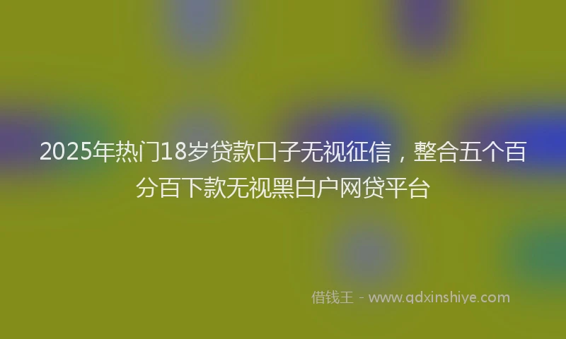 2025年热门18岁贷款口子无视征信，整合五个百分百下款无视黑白户网贷平台