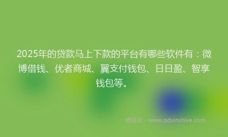 2025年的贷款马上下款的平台有哪些软件有：微博借钱、优者商城、翼支付钱包、日日盈、智享钱包等。