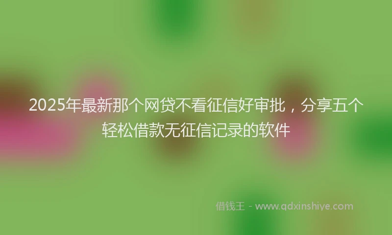 2025年最新那个网贷不看征信好审批，分享五个轻松借款无征信记录的软件