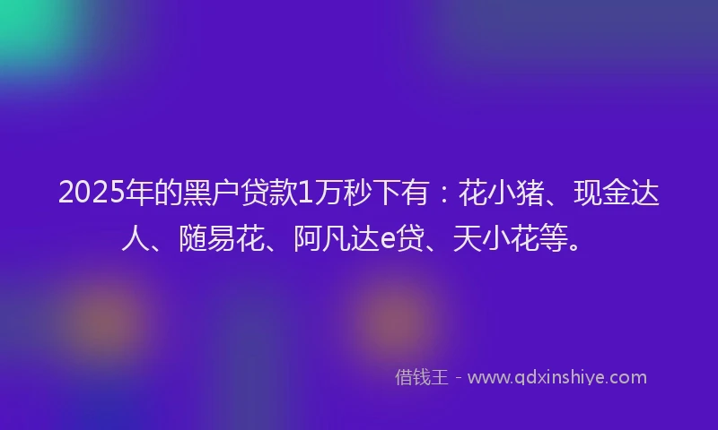 2025年的黑户贷款1万秒下有：花小猪、现金达人、随易花、阿凡达e贷、天小花等。