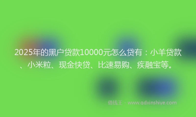 2025年的黑户贷款10000元怎么贷有：小羊贷款、小米粒、现金快贷、比速易购、疾融宝等。