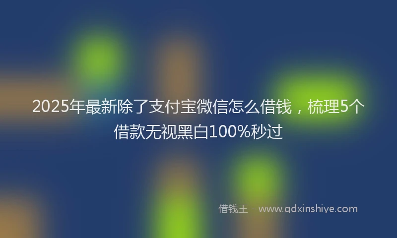 2025年最新除了支付宝微信怎么借钱，梳理5个借款无视黑白100%秒过