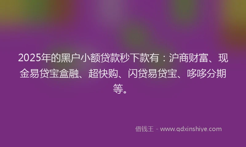 2025年的黑户小额贷款秒下款有：沪商财富、现金易贷宝盒融、超快购、闪贷易贷宝、哆哆分期等。