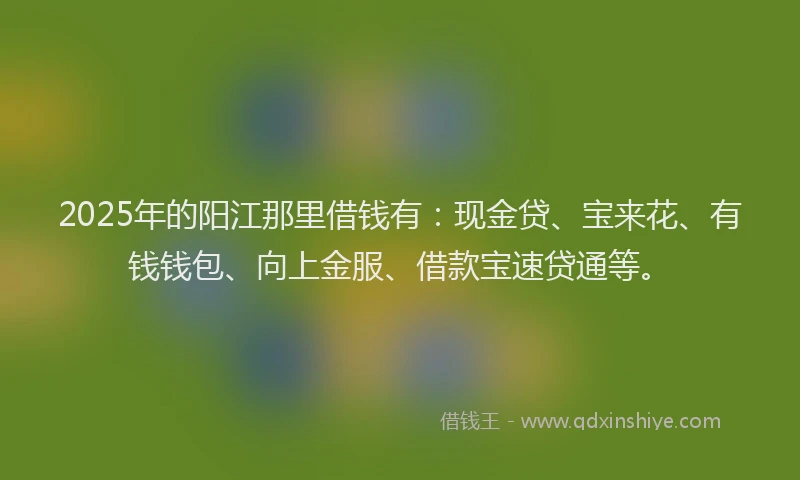 2025年的阳江那里借钱有：现金贷、宝来花、有钱钱包、向上金服、借款宝速贷通等。