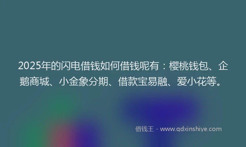 2025年的闪电借钱如何借钱呢有：樱桃钱包、企鹅商城、小金象分期、借款宝易融、爱小花等。