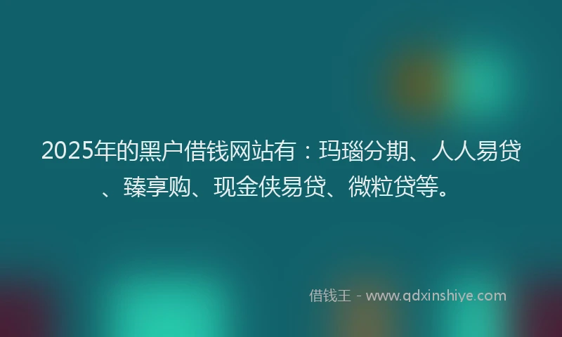 2025年的黑户借钱网站有：玛瑙分期、人人易贷、臻享购、现金侠易贷、微粒贷等。