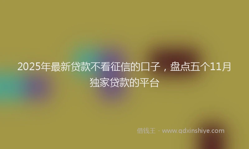 2025年最新贷款不看征信的口子，盘点五个11月独家贷款的平台