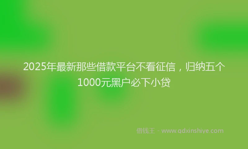 2025年最新那些借款平台不看征信，归纳五个1000元黑户必下小贷