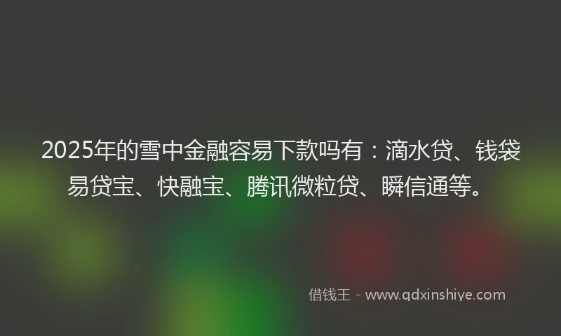 2025年的雪中金融容易下款吗有：滴水贷、钱袋易贷宝、快融宝、腾讯微粒贷、瞬信通等。