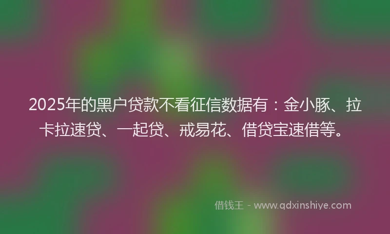 2025年的黑户贷款不看征信数据有：金小豚、拉卡拉速贷、一起贷、戒易花、借贷宝速借等。