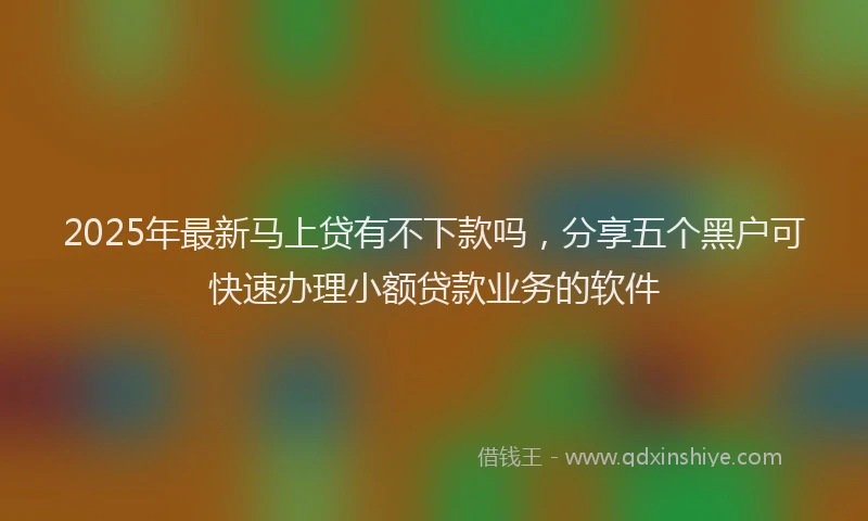 2025年最新马上贷有不下款吗，分享五个黑户可快速办理小额贷款业务的软件