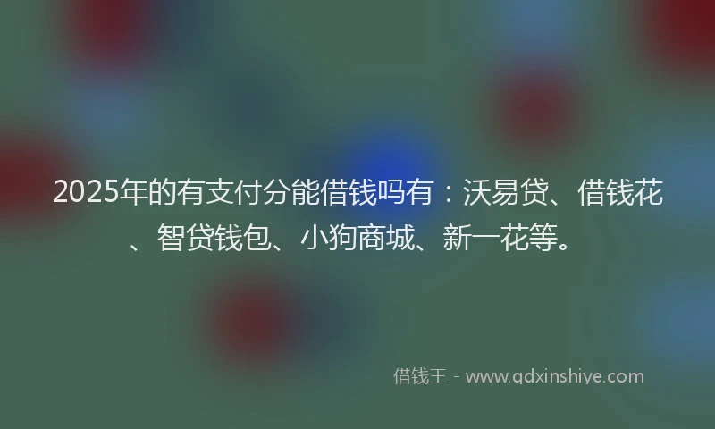 2025年的有支付分能借钱吗有：沃易贷、借钱花、智贷钱包、小狗商城、新一花等。