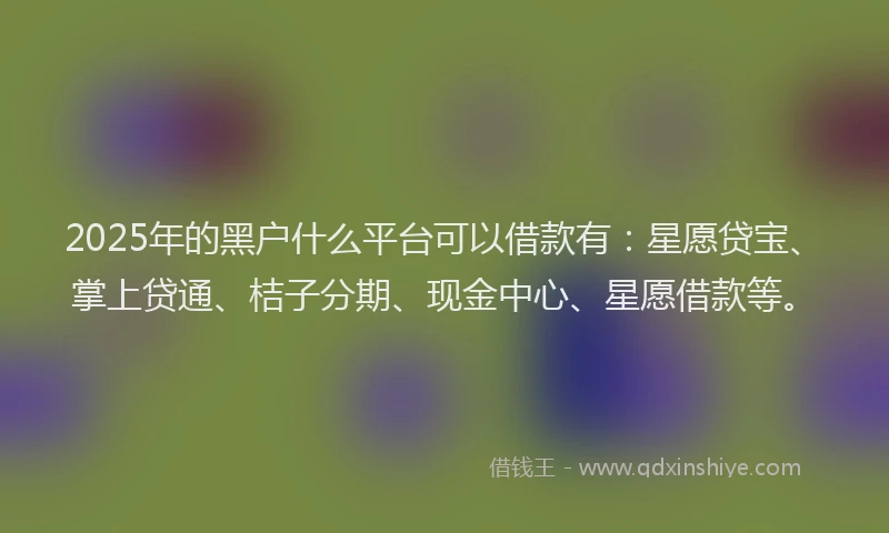 2025年的黑户什么平台可以借款有：星愿贷宝、掌上贷通、桔子分期、现金中心、星愿借款等。
