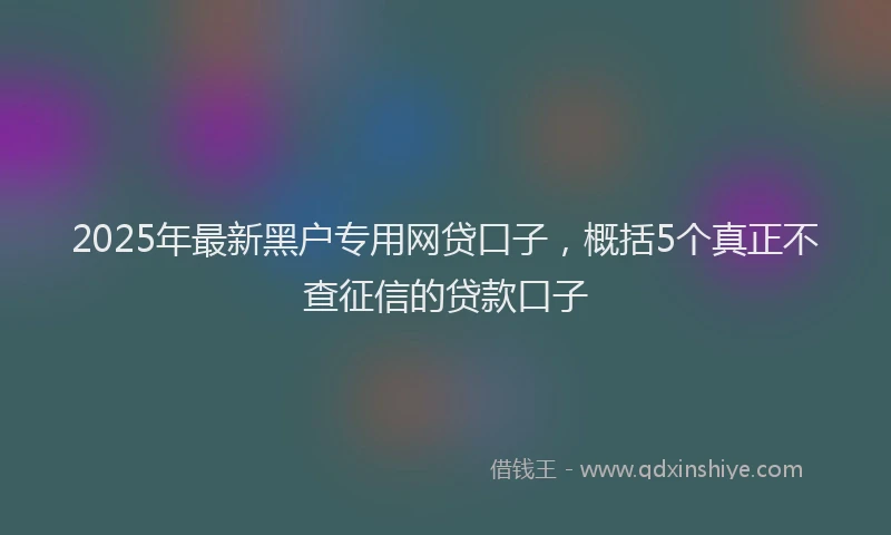 2025年最新黑户专用网贷口子，概括5个真正不查征信的贷款口子