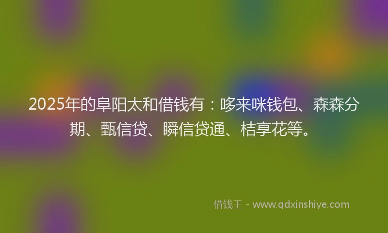 2025年的阜阳太和借钱有：哆来咪钱包、森森分期、甄信贷、瞬信贷通、桔享花等。