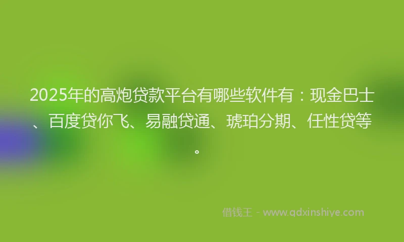 2025年的高炮贷款平台有哪些软件有：现金巴士、百度贷你飞、易融贷通、琥珀分期、任性贷等。