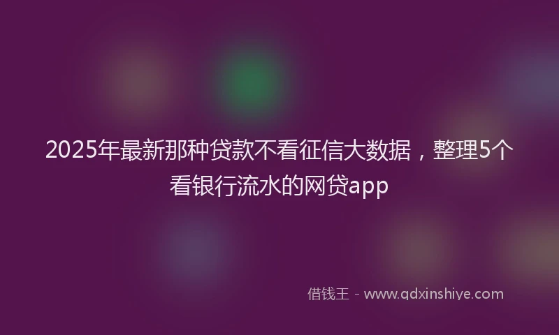 2025年最新那种贷款不看征信大数据，整理5个看银行流水的网贷app