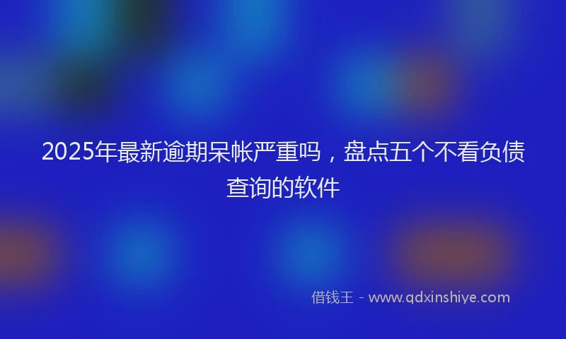 2025年最新逾期呆帐严重吗，盘点五个不看负债查询的软件