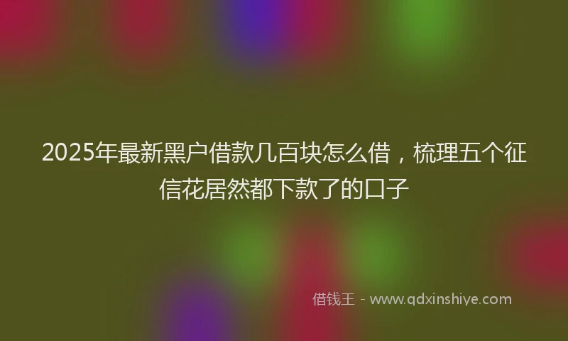 2025年最新黑户借款几百块怎么借，梳理五个征信花居然都下款了的口子