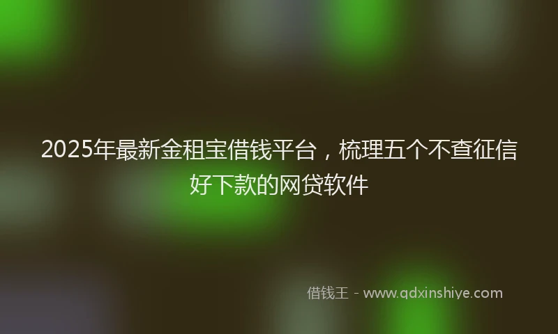 2025年最新金租宝借钱平台，梳理五个不查征信好下款的网贷软件