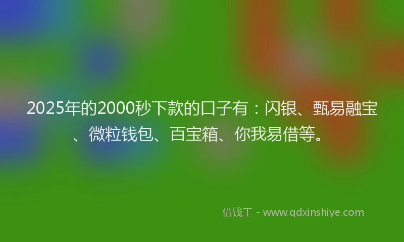 2025年的2000秒下款的口子有：闪银、甄易融宝、微粒钱包、百宝箱、你我易借等。
