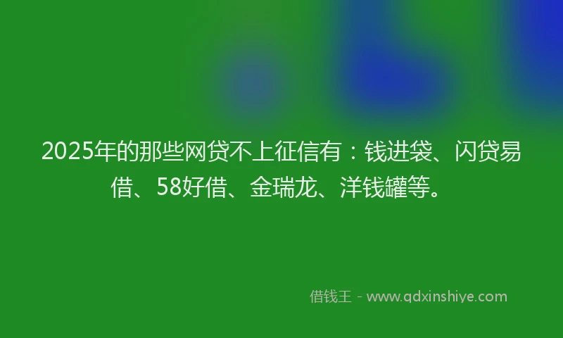 2025年的那些网贷不上征信有：钱进袋、闪贷易借、58好借、金瑞龙、洋钱罐等。