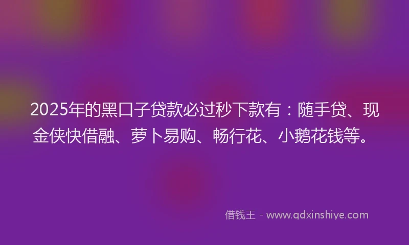 2025年的黑口子贷款必过秒下款有：随手贷、现金侠快借融、萝卜易购、畅行花、小鹅花钱等。