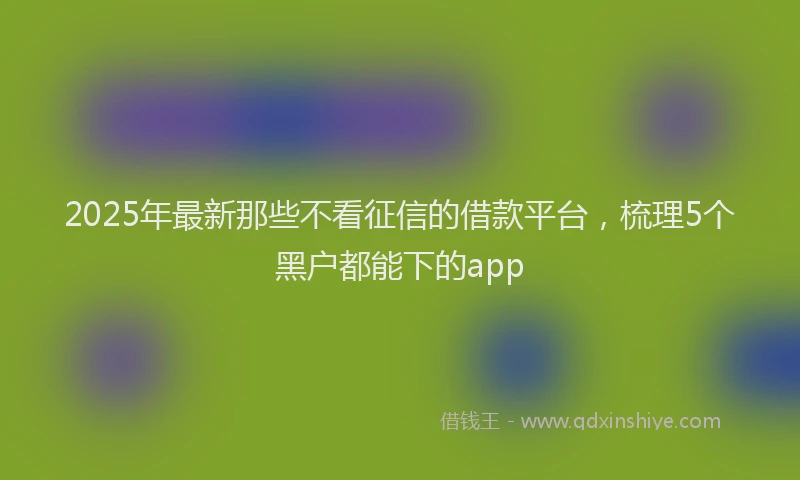2025年最新那些不看征信的借款平台，梳理5个黑户都能下的app