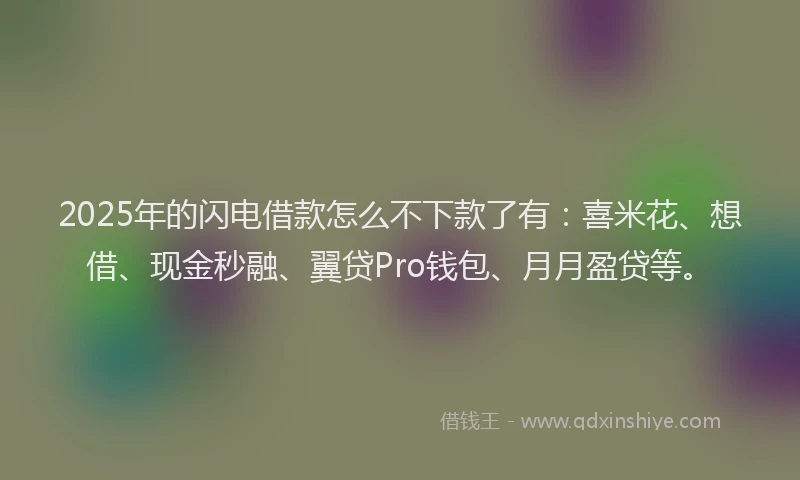 2025年的闪电借款怎么不下款了有：喜米花、想借、现金秒融、翼贷Pro钱包、月月盈贷等。