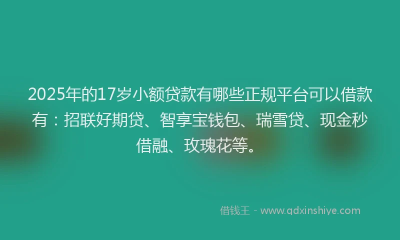 2025年的17岁小额贷款有哪些正规平台可以借款有：招联好期贷、智享宝钱包、瑞雪贷、现金秒借融、玫瑰花等。
