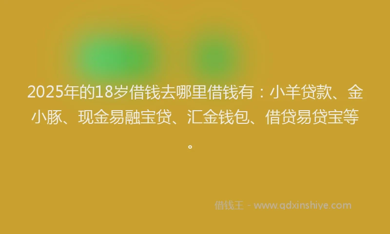 2025年的18岁借钱去哪里借钱有：小羊贷款、金小豚、现金易融宝贷、汇金钱包、借贷易贷宝等。