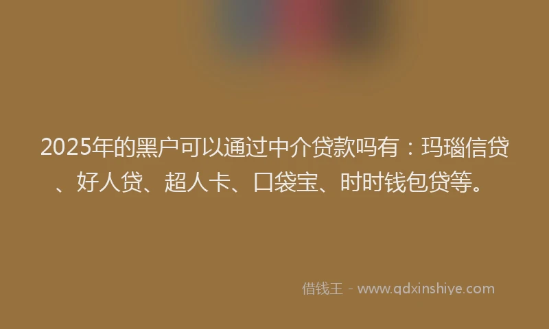 2025年的黑户可以通过中介贷款吗有：玛瑙信贷、好人贷、超人卡、口袋宝、时时钱包贷等。