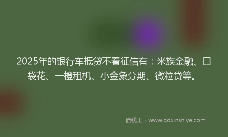 2025年的银行车抵贷不看征信有：米族金融、口袋花、一橙租机、小金象分期、微粒贷等。