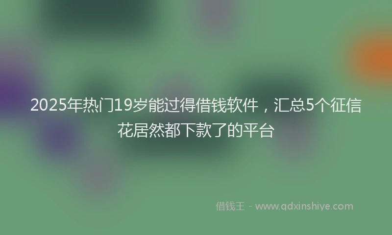 2025年热门19岁能过得借钱软件，汇总5个征信花居然都下款了的平台