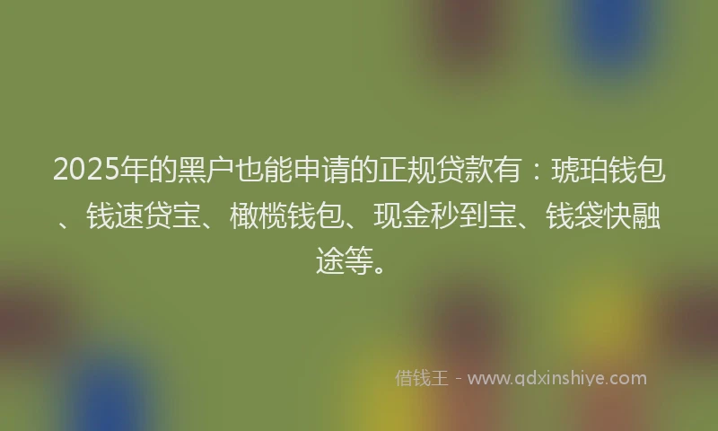 2025年的黑户也能申请的正规贷款有：琥珀钱包、钱速贷宝、橄榄钱包、现金秒到宝、钱袋快融途等。