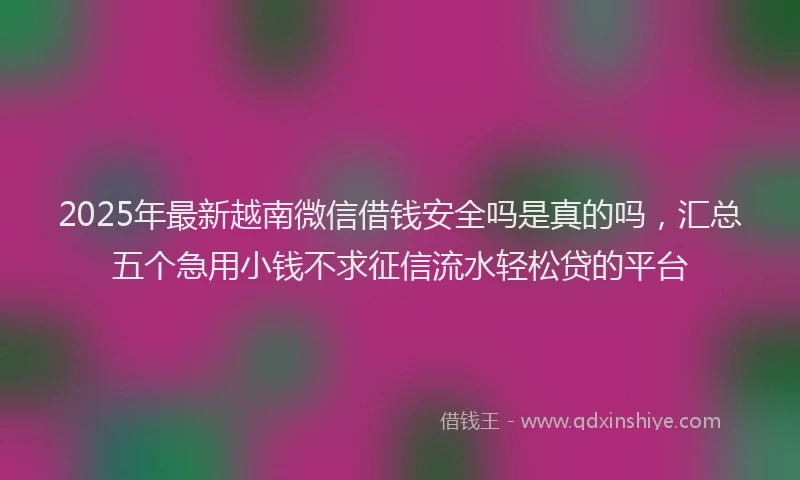 2025年最新越南微信借钱安全吗是真的吗，汇总五个急用小钱不求征信流水轻松贷的平台
