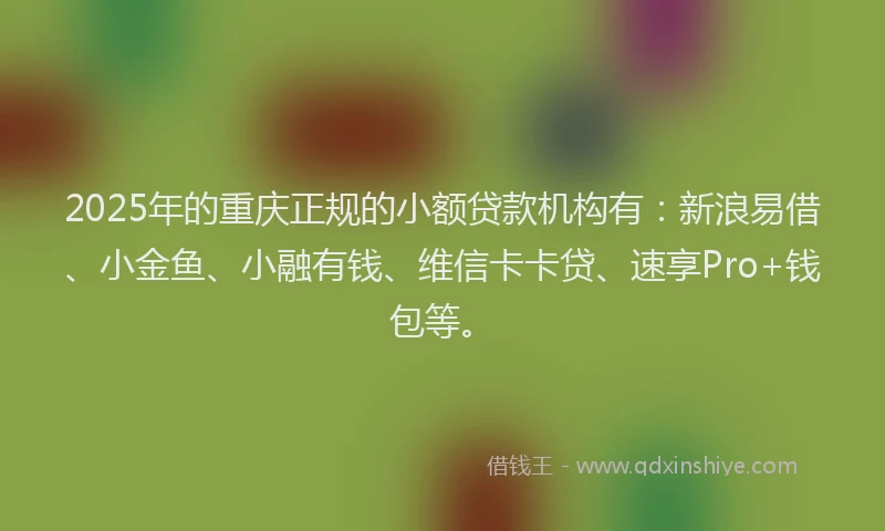 2025年的重庆正规的小额贷款机构有：新浪易借、小金鱼、小融有钱、维信卡卡贷、速享Pro+钱包等。