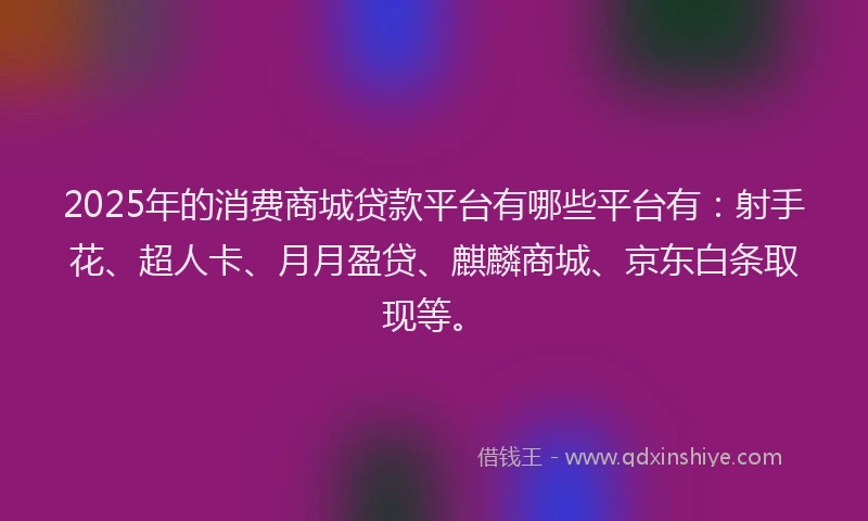2025年的消费商城贷款平台有哪些平台有：射手花、超人卡、月月盈贷、麒麟商城、京东白条取现等。