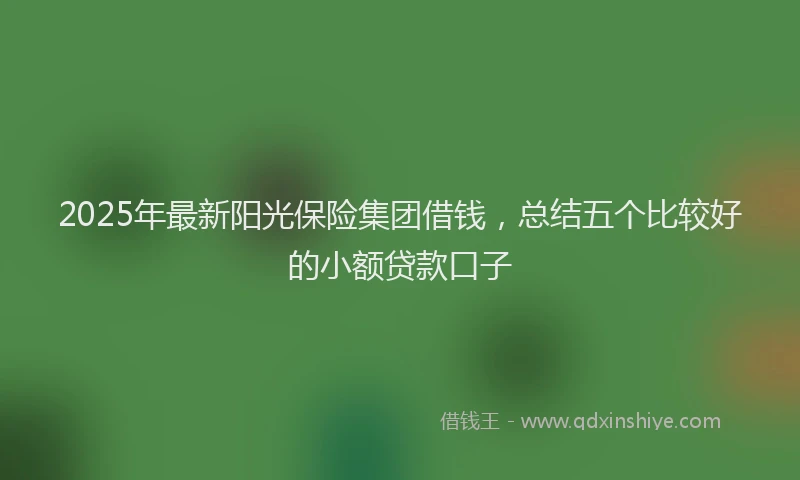 2025年最新阳光保险集团借钱，总结五个比较好的小额贷款口子