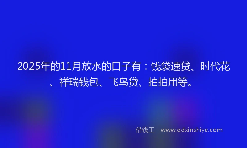 2025年的11月放水的口子有：钱袋速贷、时代花、祥瑞钱包、飞鸟贷、拍拍用等。