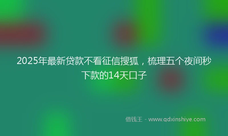 2025年最新贷款不看征信搜狐，梳理五个夜间秒下款的14天口子